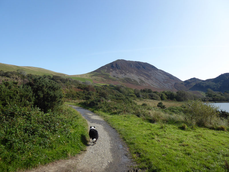 Ennnerdale Shoreline Path